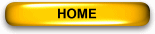 home button
